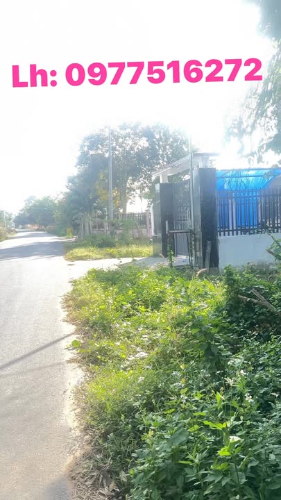 Đất thổ cư Hắc Dịch 3300m² giá 5.5 tỷ - Cơ hội đầu tư tuyệt vời!