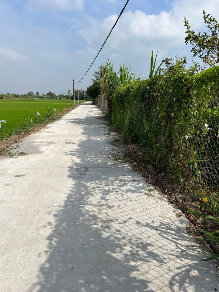 Đất nền Gò Xoài, Tân Trung 700m² giá 690 triệu - Đầu tư sinh lời ngay!