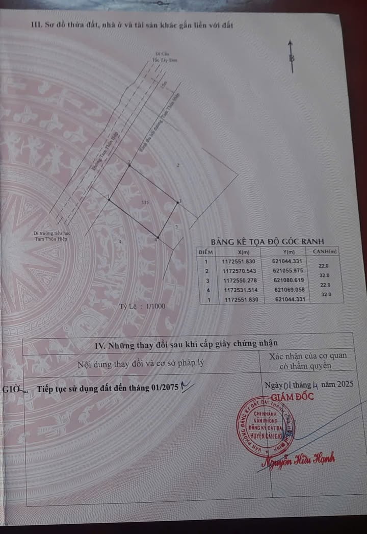 Bán đất mặt tiền đường Tam Thôn Hiệp, Cần Giờ 700m² giá 16.8 tỷ - Đầu tư lý tưởng cho biệt thự sân vườn!