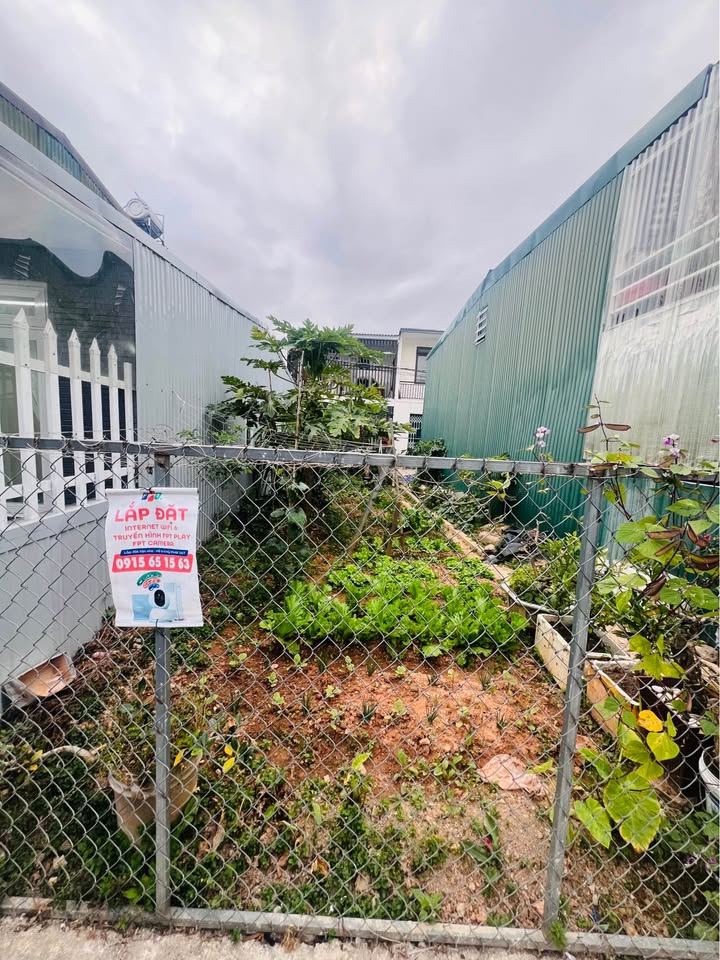 Đất nền đường Nguyên Tử Lực, Đà Lạt 65m² giá 1 tỷ - Sổ chung, thương lượng chính chủ!