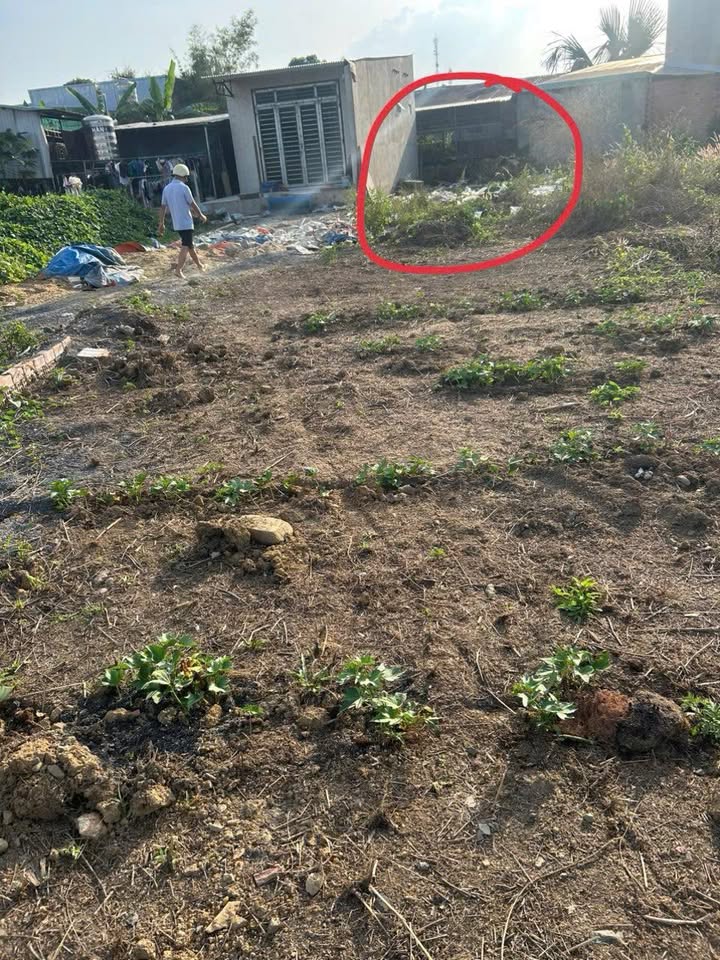 Đất nền Hố Nai 3, Trảng Bom 125m² giá 550 triệu - Cơ hội đầu tư hấp dẫn!