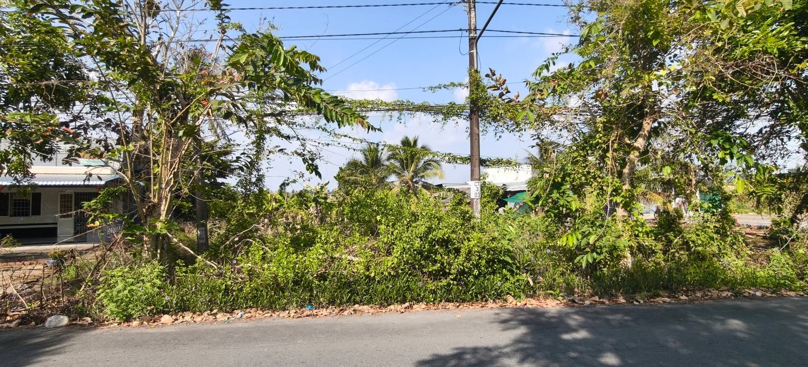 Đất nền mặt tiền đường 19/5 Châu Thới, Vĩnh Lợi, Bạc Liêu 751m² - Giá chỉ 805 triệu!