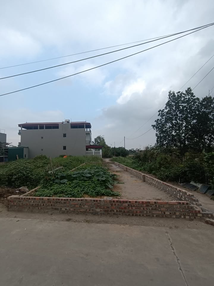 Bán lô góc đất 85m² tại Hà Mãn - Giá chỉ từ 30 triệu/m² - An cư lý tưởng!