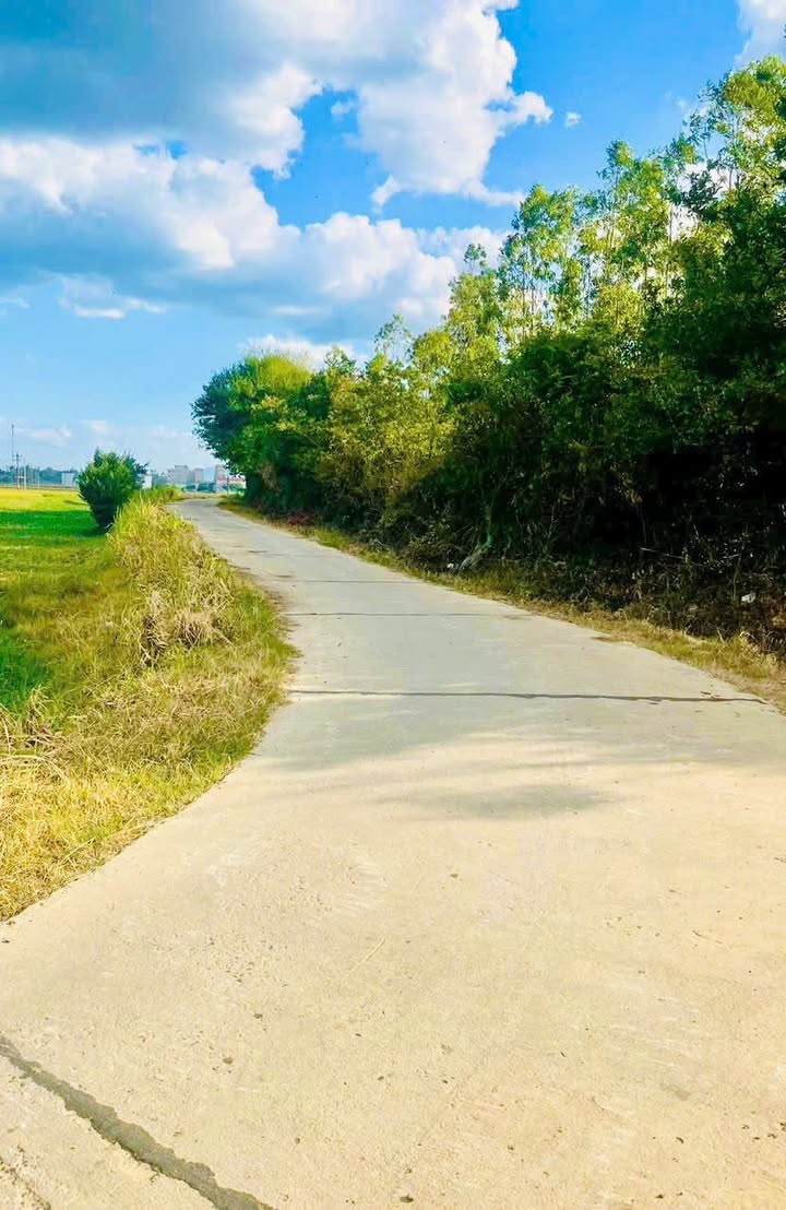 Đất nền Ô Loan, Tuy An 50m² giá 1 triệu - Đầu tư sinh lời ngay!