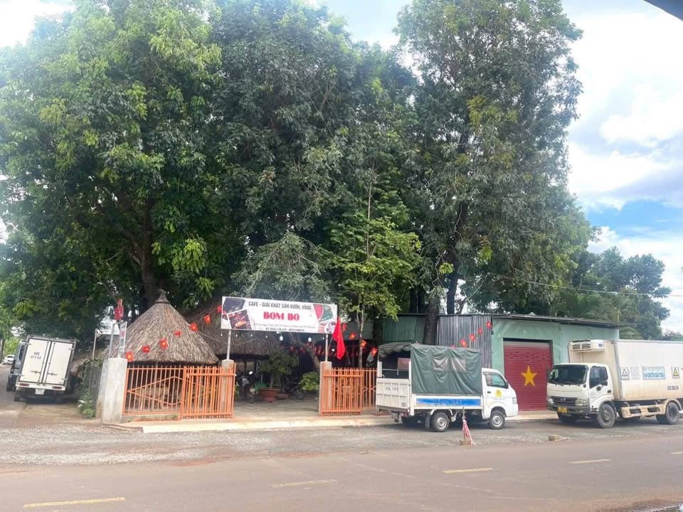 Đất 2 mặt tiền Phạm Ngọc Thạch, 1000m² - Cơ hội đầu tư sinh lời hấp dẫn!