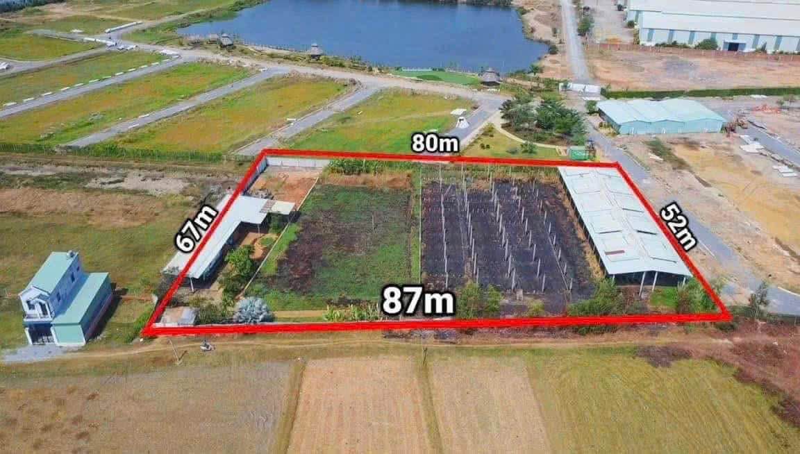 Đất nền 5200m² Mỹ Hạnh Bắc giá 25 tỷ - Cơ hội đầu tư sinh lời!