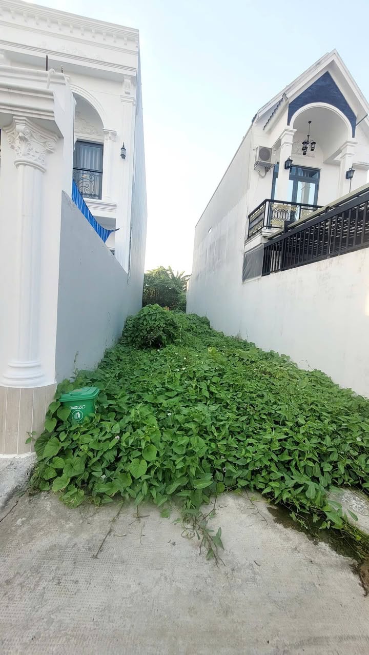 Đất thổ cư 86m² tại ấp Lộc Hậu, Cần Giuộc chỉ 950 triệu - Sổ hồng riêng chính chủ!