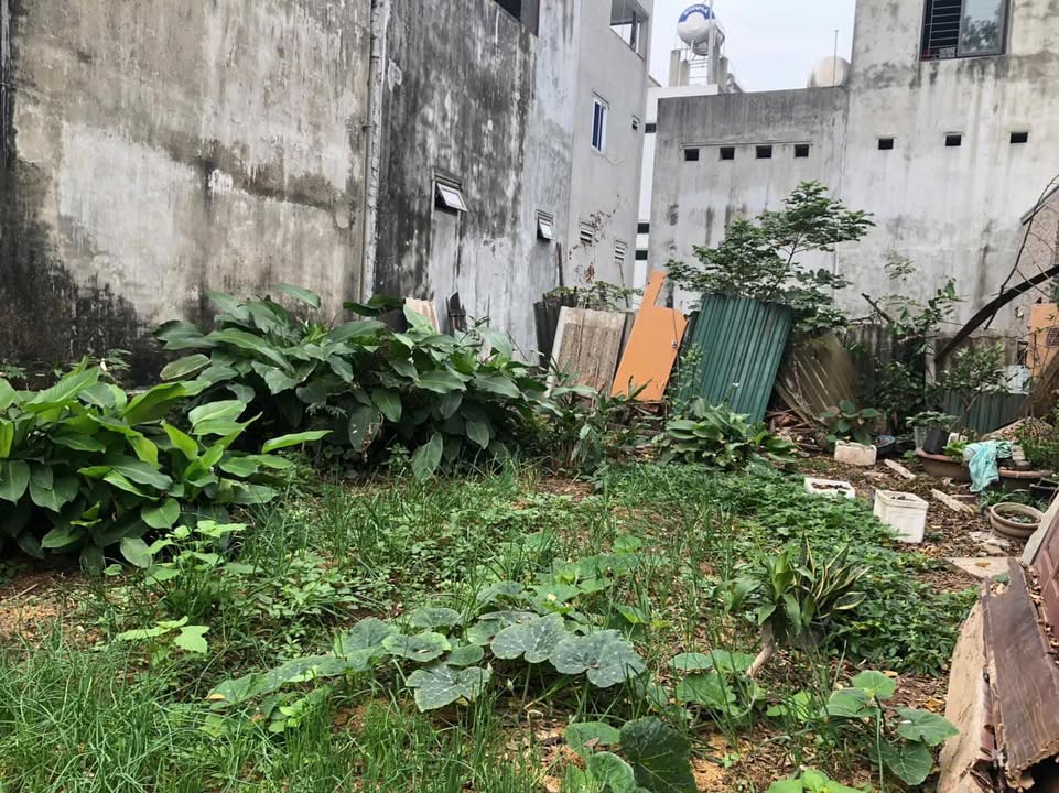 Đất nền Đông Xuân Sóc Sơn 145m² giá 2.9 tỷ - Cơ hội đầu tư hấp dẫn!