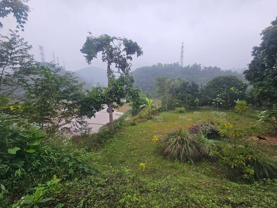 Đất nền 2000m² tại Yên Mông Hòa Bình giá 6 tỷ - View cánh đồng rộng rãi!