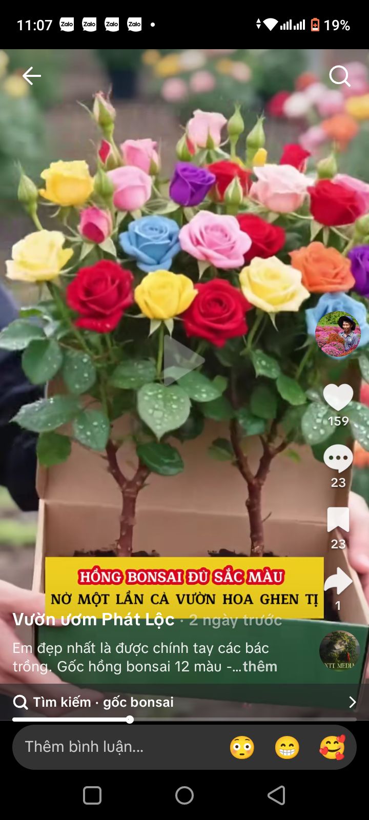 Đất thổ cư Cẩm Sơn 256m² giá chỉ 4xx triệu - Sổ hồng chính chủ!