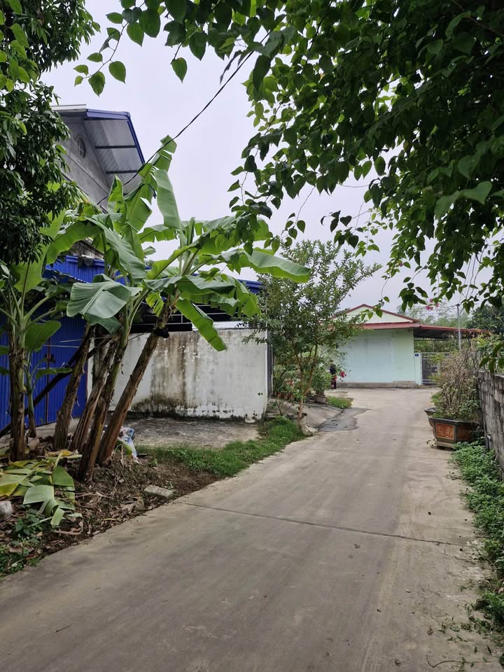 Lô đất Tổ 12 P.Tích Lương - 105m² giá chỉ 800 triệu - Bán gấp chính chủ!