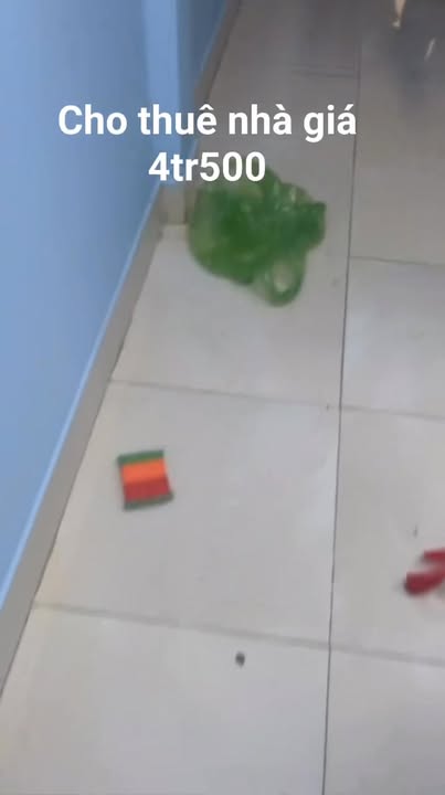 Nhà cho thuê tại Phước Lý, Cần Giuộc, Long An - 4.5 triệu/tháng, 3 phòng ngủ rộng rãi