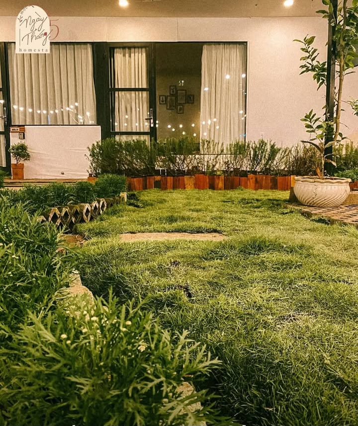 Homestay Đà Lạt 350m² giá 10 triệu - Ngay trung tâm, tiện nghi đầy đủ!