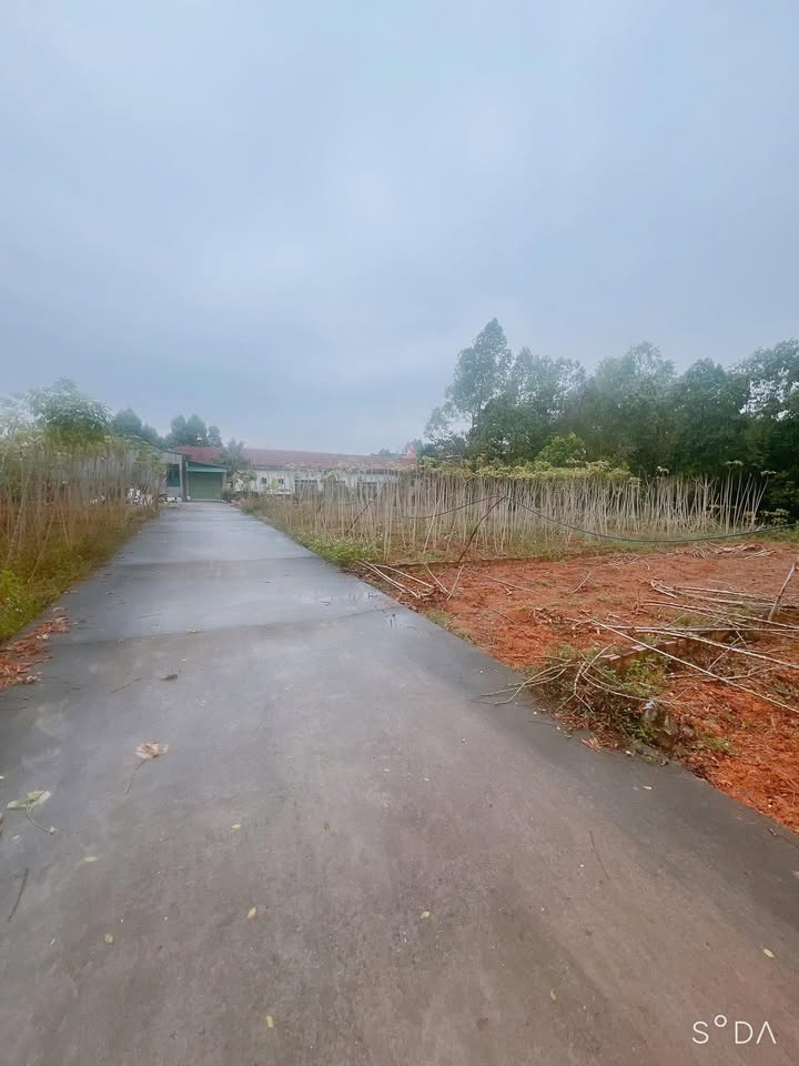 Đất nền Thanh Đình Việt Trì 100m² giá chỉ 900 triệu - Chính chủ ra hàng gấp!