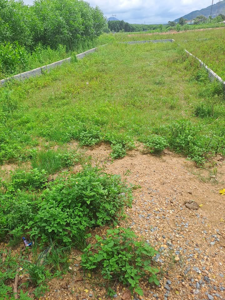 Lô đất thổ cư 150m² tại Thôn Tân Sơn, Kỳ Hoa - Giá chỉ 800 triệu!