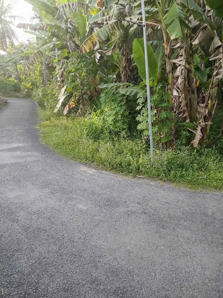 Đất 2 mặt tiền đường nhựa Long Đức 1000m² giá 1.1 tỷ - Cơ hội đầu tư tuyệt vời!