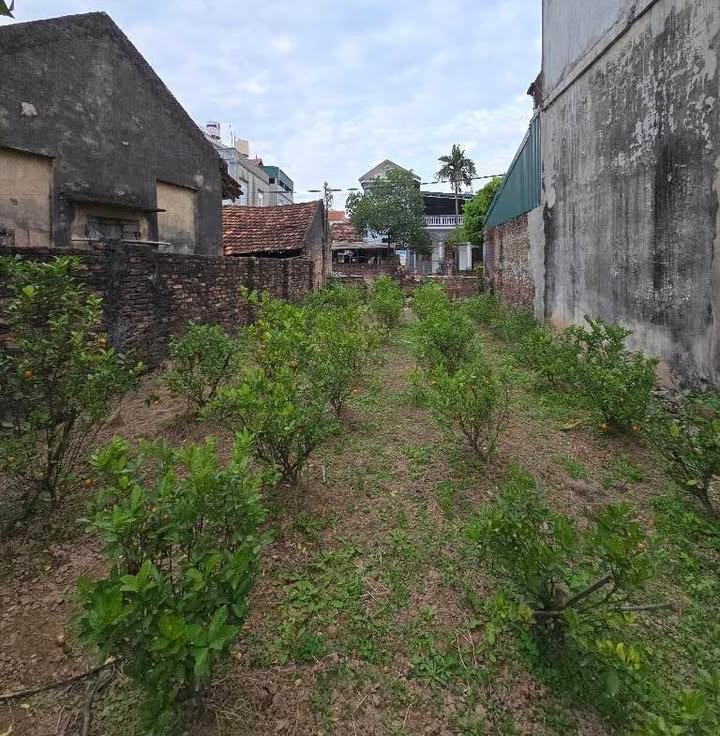 Đất nền Chương Dương, Thường Tín 201m² giá 9 tỷ - Đầu tư sinh lời tuyệt vời!