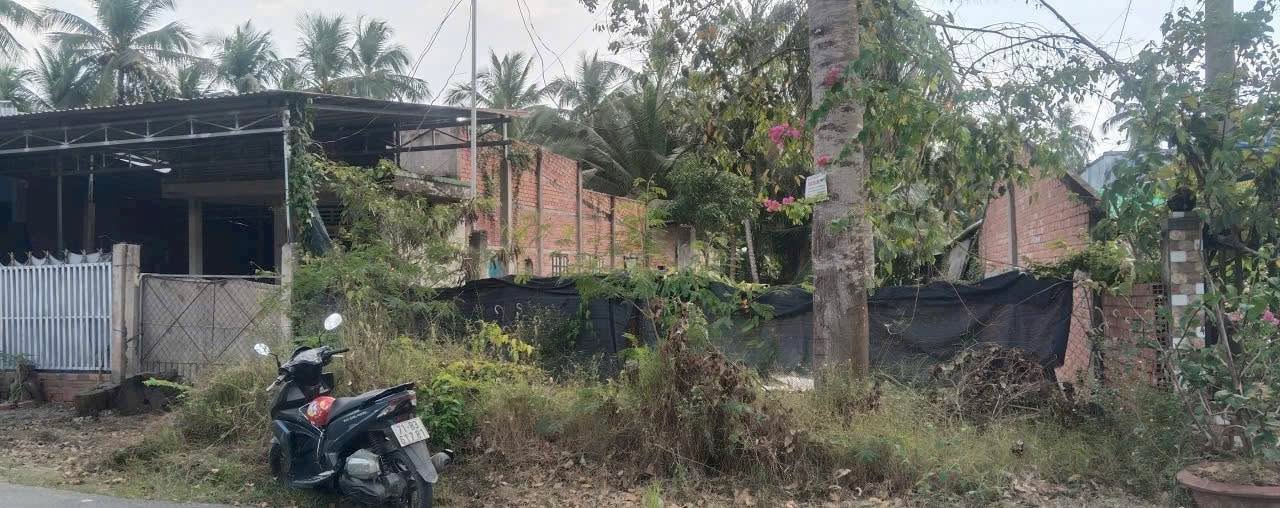 Đất nền Mỏ Cày Nam 405m² giá 1.2 tỷ - Tiềm năng kinh doanh vượt trội!