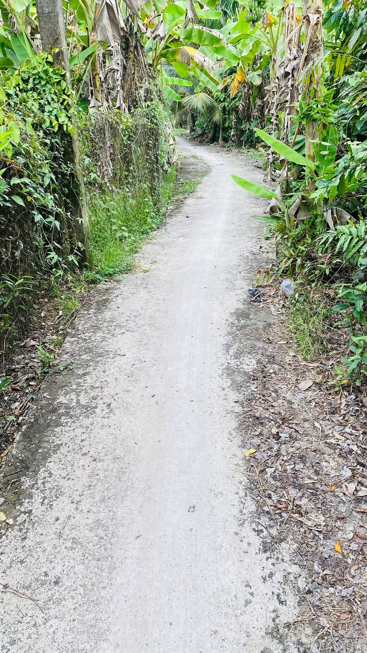 Đất nền An Khánh, Châu Thành, Bến Tre 2300m² - Sổ đỏ chính chủ, giá chỉ 2.53 tỷ!