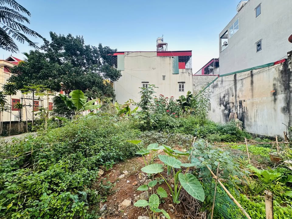 Nhà 3 tầng Vincom Sơn La 160m² - Vị trí trung tâm, không gian thư giãn