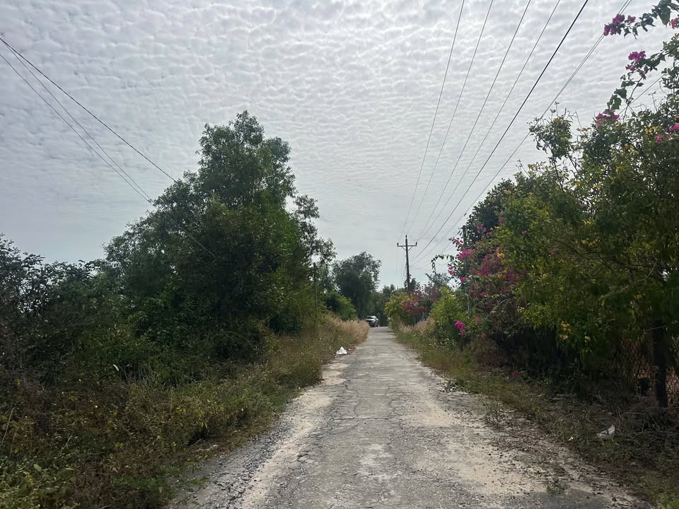 Bán đất Tân Tiến, La Gi 1000m² giá 2.5 tỷ - Cơ hội đầu tư lý tưởng!