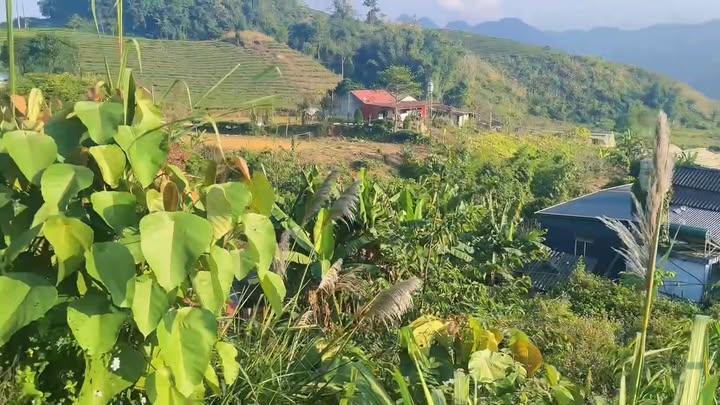 Đất nền tại Phiêng Luông, Mộc Châu 615m² giá 4 tỷ - Cơ hội đầu tư hấp dẫn!