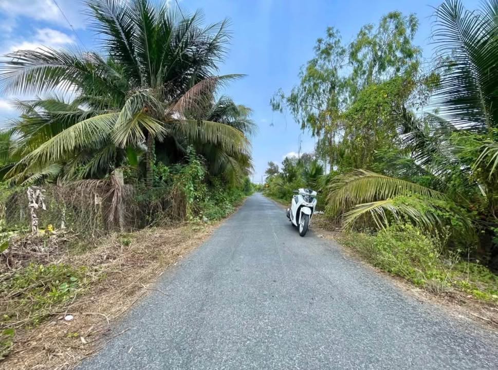 Đất mặt tiền đường N5 Tân Mỹ Chánh 109m² giá 1.1 tỷ - Đầu tư sinh lời ngay!