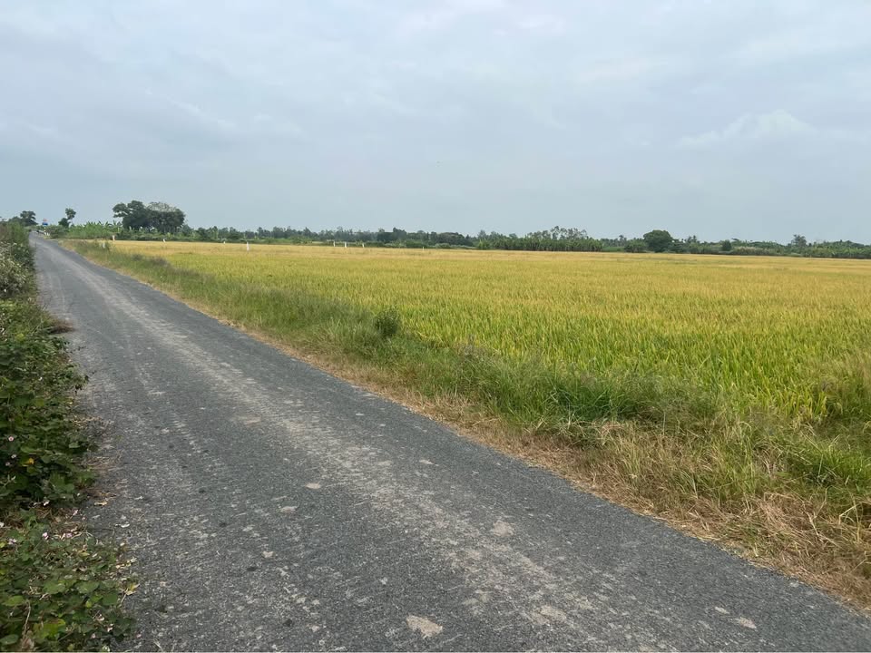 Đất nền mặt tiền Huyện Lộ 28, Tân Thạnh, Cần Thơ 700m² giá 300 triệu - Cơ hội đầu tư vàng!