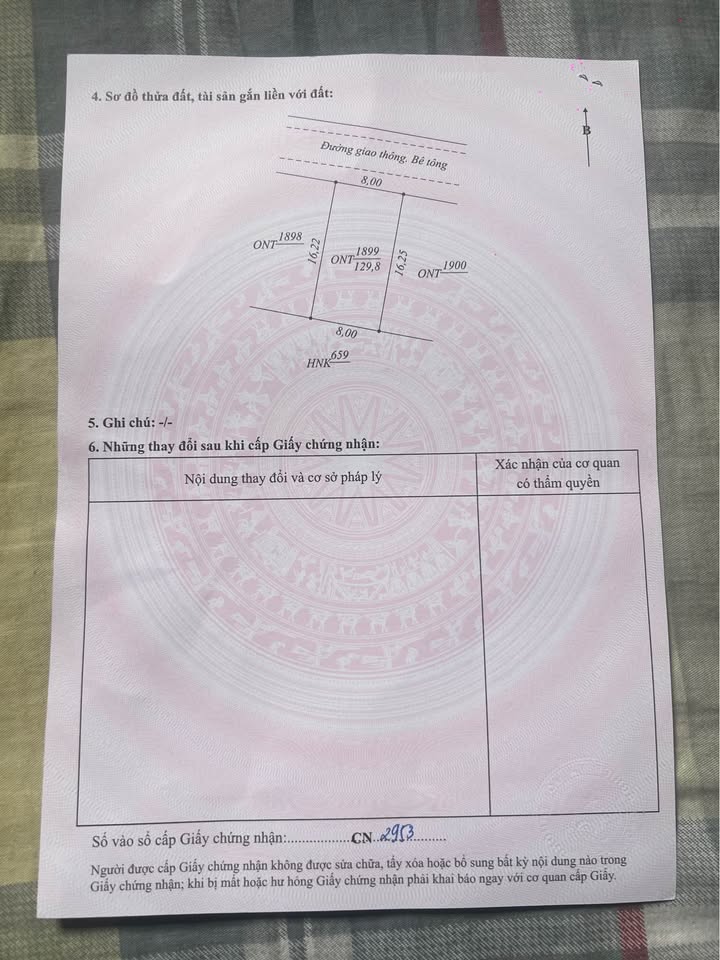 Đất thổ cư Thôn 3 Lý Trạch Bố Trạch 128m² giá 500 triệu - Giao thông thuận lợi!