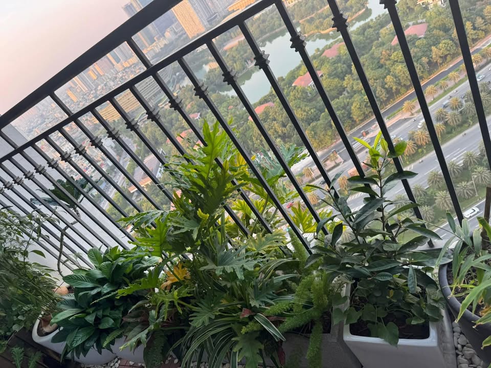 Căn hộ Vinhomes Green Bay Mễ Trì cho thuê từ 9 triệu - Full nội thất hiện đại