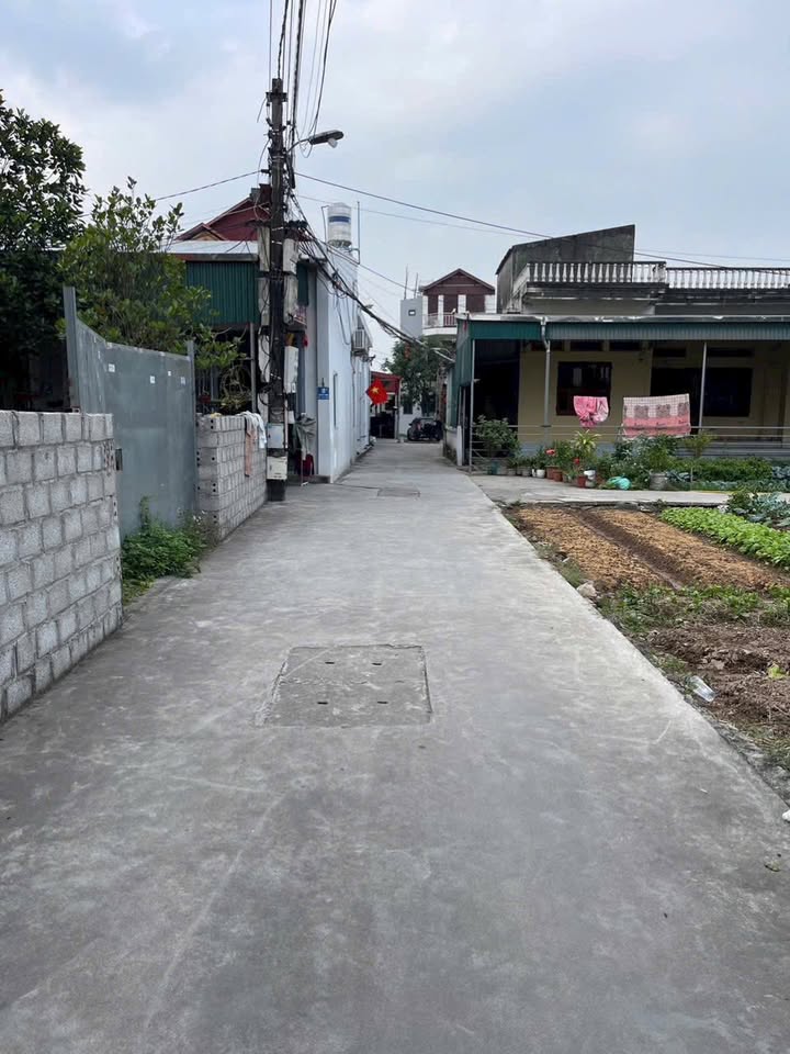 Lô đất tại phường Việt Hòa, Hải Dương 59,5m² giá 780 triệu - Đầu tư thông minh ngay hôm nay!
