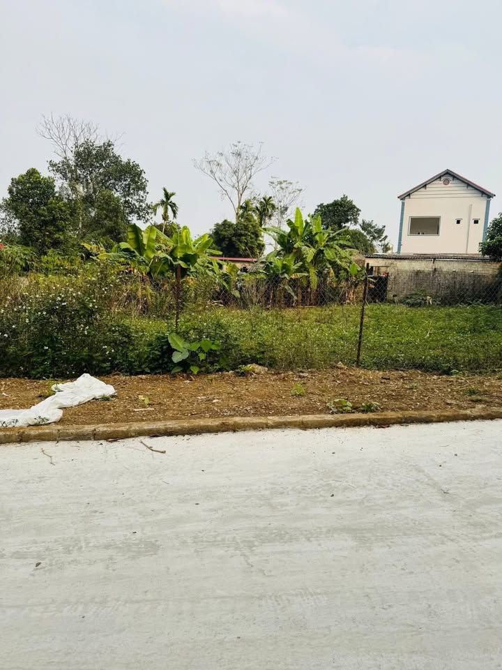 Đất nền 720m² tại KCN Nhuận Trạch - Đầu tư sinh lời ngay!