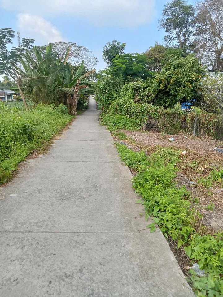 Đất mặt tiền Kinh 7, Thạnh Lộc 324m² - Đầu tư sinh lời cao!