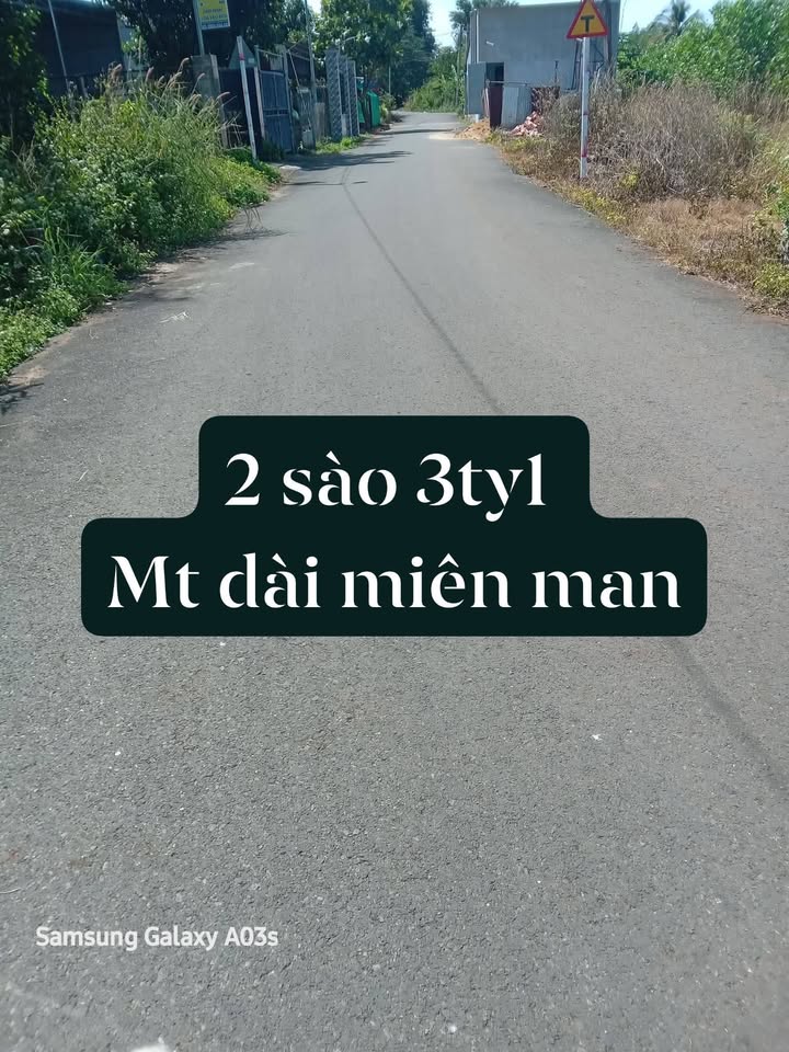 Đất Vĩnh An 8000m² giá 3.1 tỷ - Mặt tiền đường nhựa rộng rãi!