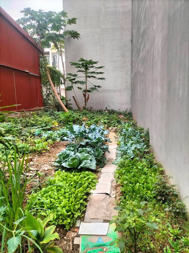 Đất nền TĐC Hồ Đá, Sở Dầu 60m² giá 4.26 tỷ - Đường ô tô đỗ cửa!