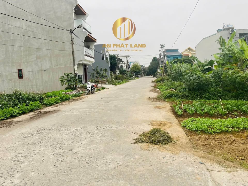 Đất Ninh Phúc Ninh Bình 100m² - Mặt tiền 5m, Gần Siêu thị Go