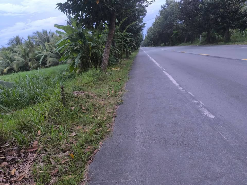 Đất mặt tiền đường Trương Vĩnh Trọng, Giồng Trôm, Bến Tre 820 triệu - Cơ hội đầu tư hấp dẫn!