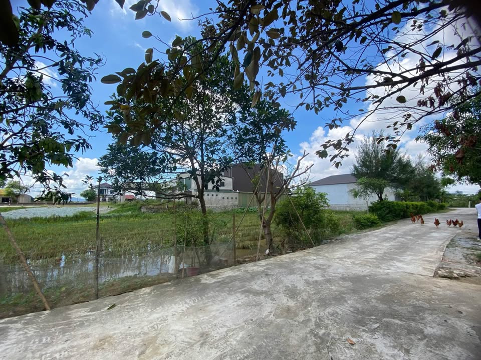 Đất nền Cẩm Bình 160m² giá 1.6 tỷ - Chính chủ cần bán gấp!