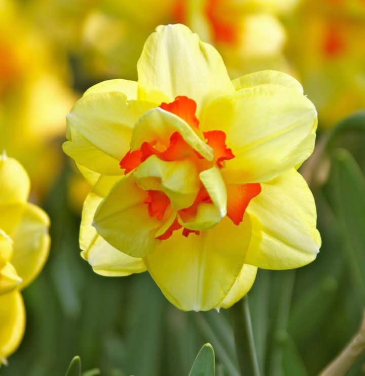 Đất nền thổ cư Xã Ia Chim, Kon Tum 340m² - Giá chỉ 810 triệu, vị trí đắc địa!