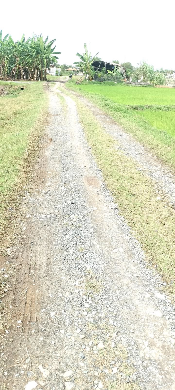 Đất mặt tiền 3300m² xã Tân Phú - Giá 3.2 tỷ, thương lượng ngay!