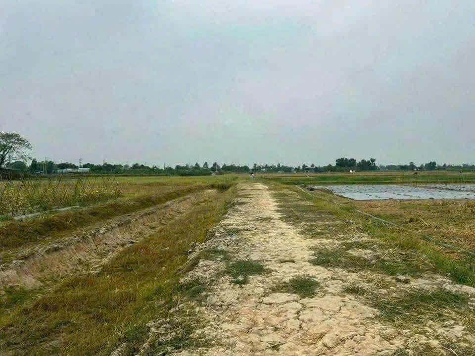 Đất nền Xuân Thới Thượng Hóc Môn 1000m² giá 2.55 tỷ - Đầu tư sinh lời cao!