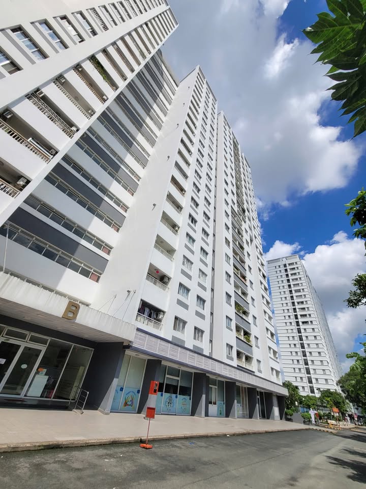 Chung cư Lotus Garden Tân Phú 3PN giá 11 triệu - Dọn vào ở ngay!