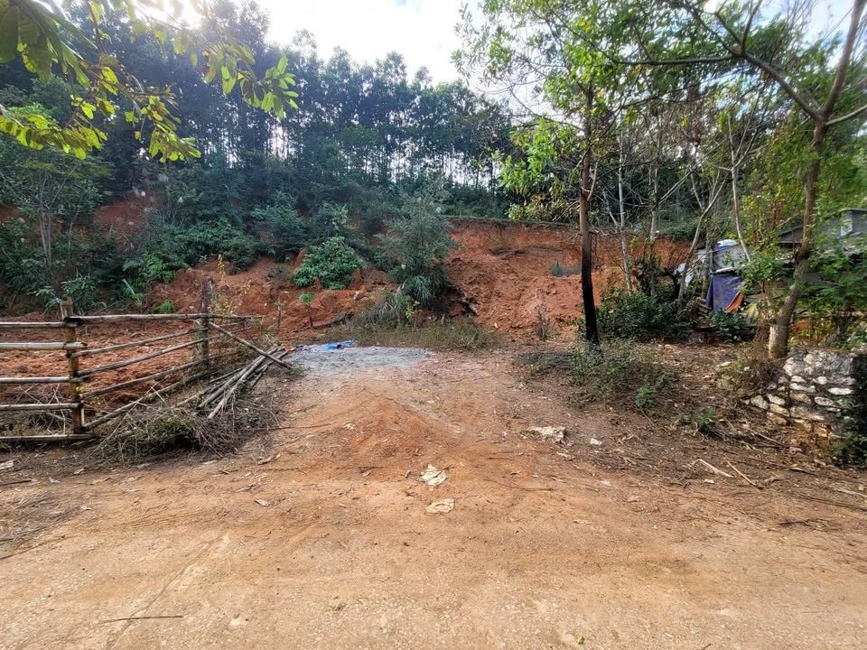 Đất nền Sông Bằng 239m² giá 1 tỷ - Ô tô tận nơi, yên tĩnh, thoáng mát!