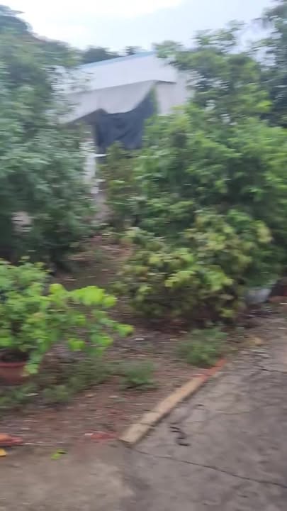 Bán lô đất Suối Nghệ, Châu Đức, 144m² - Đầu tư sinh lời lý tưởng!