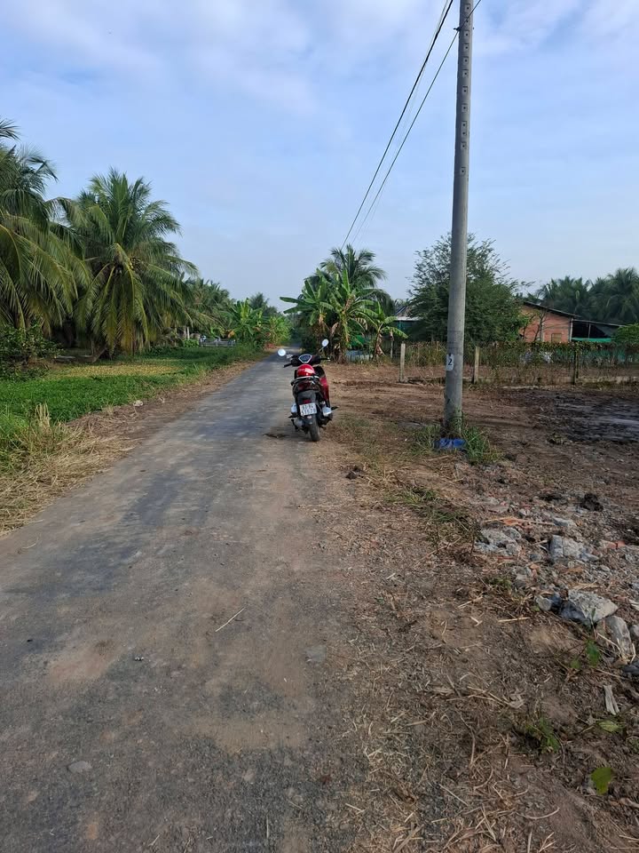 Đất mặt tiền Ấp Hoà Mỹ, Chợ Gạo, 350m² giá 590 triệu - Cơ hội đầu tư sinh lời!