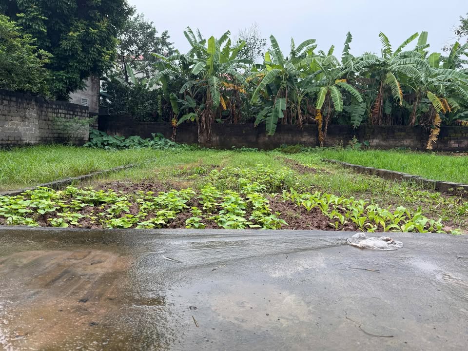 Đất thổ cư Bột Xuyên, Mỹ Đức 69.4m² - Giá tốt, chính chủ bán gấp!