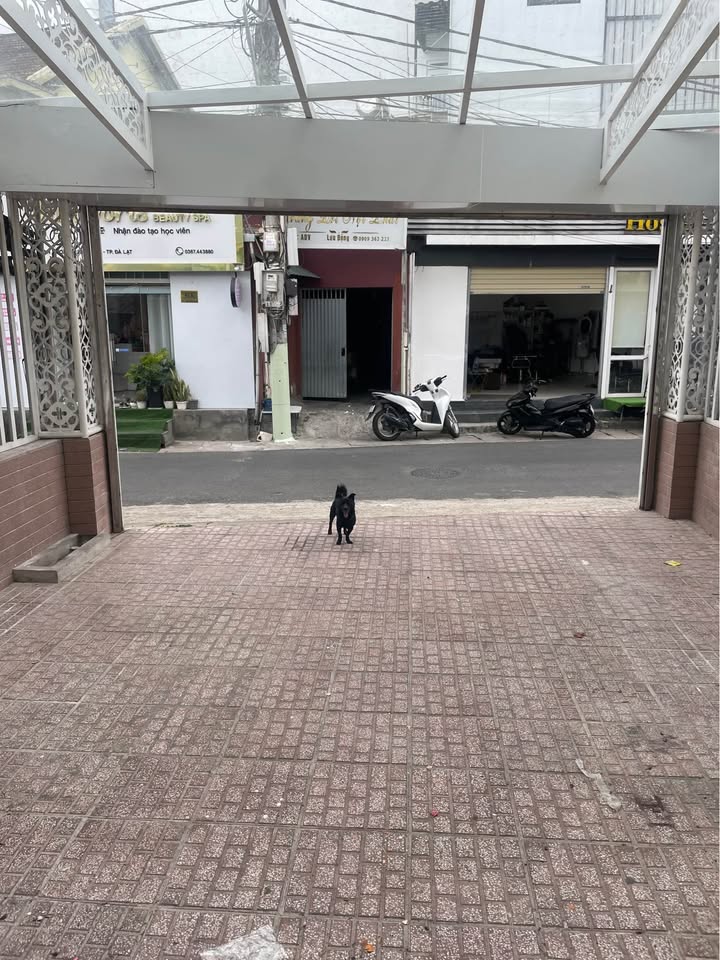 Cho thuê mặt bằng đường An Dương Vương Đà Lạt 80m² - Kinh doanh đa dạng ngành nghề!