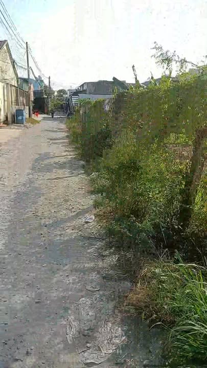 Đất nền ấp Mới 1, xã Mỹ Hạnh Nam, Đức Hòa 125m² giá 1.78 tỷ - Sổ đỏ chính chủ!