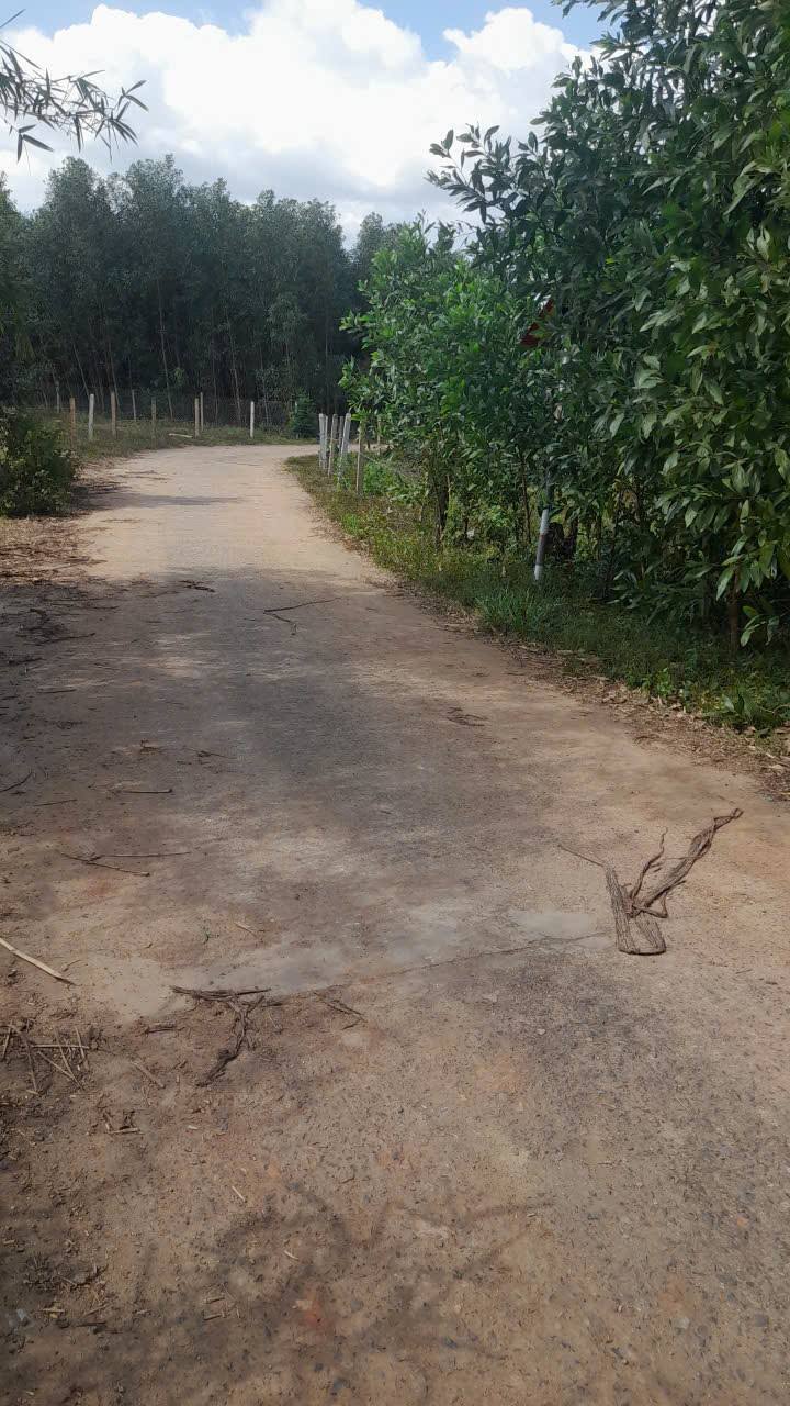 Đất vườn Khánh Đông 1875m² giá thỏa thuận - Cơ hội đầu tư tuyệt vời!