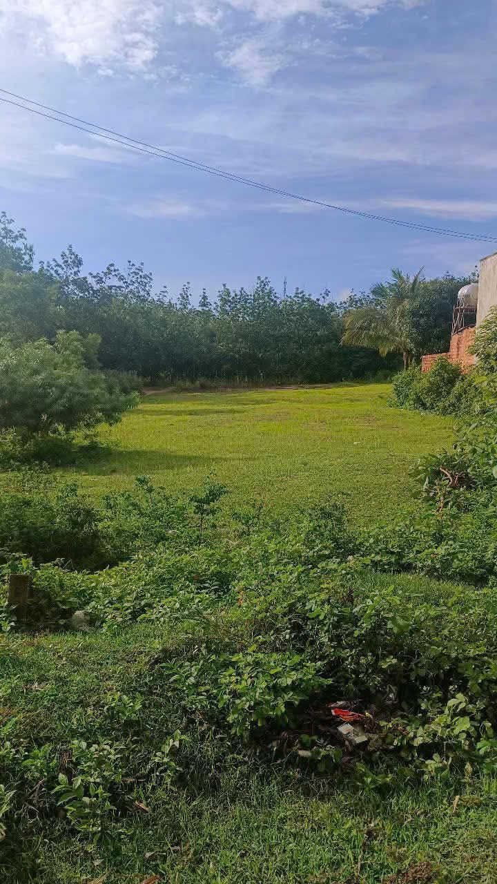 Đất thổ cư 424m² tại QL40 Đắk Xú chỉ 900 triệu - Sổ đỏ chính chủ!